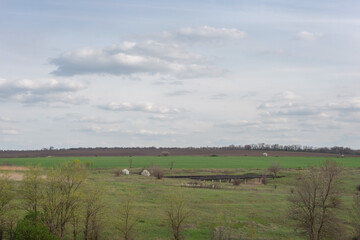 Fototapeta na wymiar a rustic landscape of fields of green grass, and a plowed field with trees. In the spring