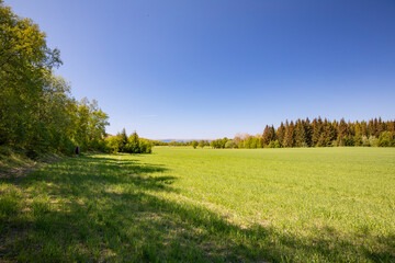 Walk in  the farmland with green meadows, Mardal ,Helgeland,Nordland...