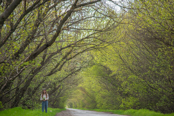Obraz premium fashionable little girl standing walking on the road against the background of an arch of green branchy trees