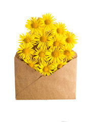  kraft paper envelope with yellow fresh flowers from envelope, flower and gift delivery, fast letter