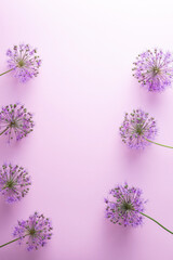 flatlay purple flowers on a pink background minimalism