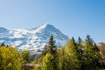 Grindelwald, Eiger, Eigernordwand, Mönch, Fiescherhörner, Finsteraarhorn, Alpen, Berner Oberland, Kleine Scheidegg, Wanderweg, Männlichen, Lauberhorn, Bergdorf, Frühling, Sommer, Schweiz