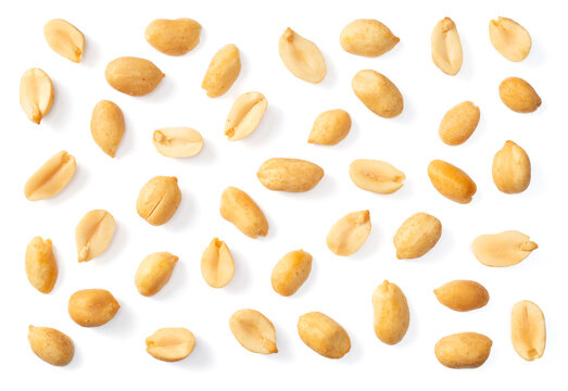 collection of single roasted peeled peanut isolated on white background, top view