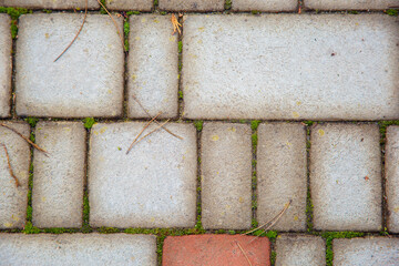 Autumn background from paving stones. Autumn abstraction with paving stones and pine needles