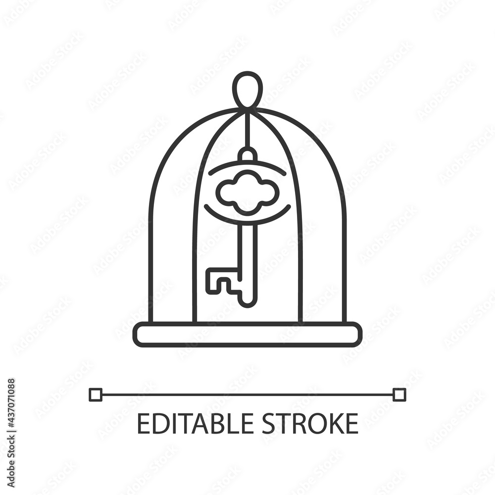 Poster key in cage linear icon. gain access. solve difficult situation. solving puzzles. thin line customiz