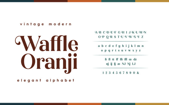 Classic typography serif font. Uppercase, lowercase, ligatures, ampersand, alternate, and number. Lettering Minimal Fashion Designs Romance Elegant.  Vector illustration word. 