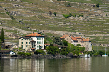 Vineyards and house in Lavaux on the banks of the Geneva lake, Switzerland