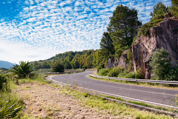 Paved road surrounded by nature. Curving mountain road. Scenic route flanked with trees, greenery...