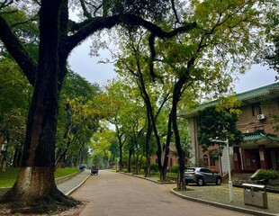 spring in the park