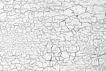 Abstract background in black white. Grunge texture black and white