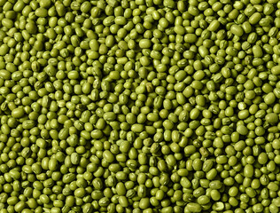 Fototapeta na wymiar Green Mung Beans Background. Top View Photo
