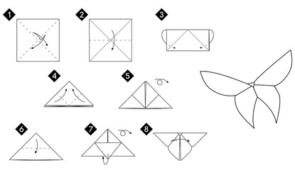 Step by step instructions how to make origami butterfly. DIY from paper vector monochrome line guide illustration.
