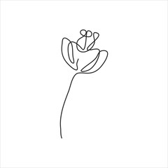 one line drawing of spring flower. continuous line art