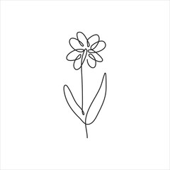 one line drawing of beautiful flower. continuous line art