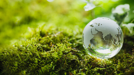 Glass globe nature concept