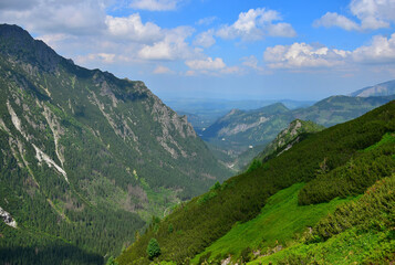 Naklejka premium Beautiful landscape in the High Tatras, the valley Dolina Roztoki. Poland.