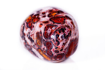 Macro mineral stone Jasper leopard on white background