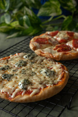 a homemade pizza with spicy salami and another pizza with roquefort cheese on a black metal grill and plants in the background with natural light