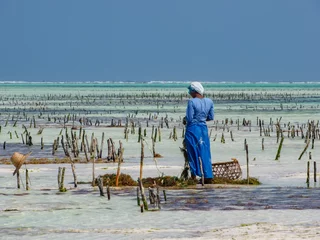 Foto op Plexiglas zanzibar © Mirek