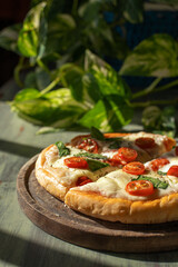  homemade pizza with cherry tomatoes and fresh basil on wooden board and plants in the background with sunlight
