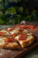  homemade pizza with spicy salami on wooden board and plants, garlic and salami in the background with sunlight