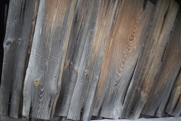 Obraz premium planking