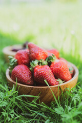 Strawberries in wooden bowl on green background