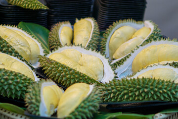 Durian fruit. in Thailand