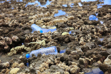 Environment issue, plastic bottle leave on Coral at beach of sea