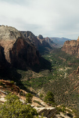 Southwestern mountains in the desert with green trees in the canyon. The view of Zion Canyon in Zion National Park Utah from Angel's Landing.