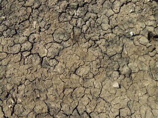 dry soil texture