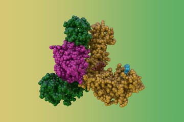 Space-filling molecular model of an interleukin-1 receptor complex. Rendering with differently colored protein chains based on protein data bank entry 3o4o. 3d illustration
