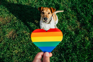 Hand holding a hearth shape with LGBTQ rainbow colors and a dog in the background. 