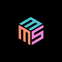 Hexagon logo with the letters MMS design