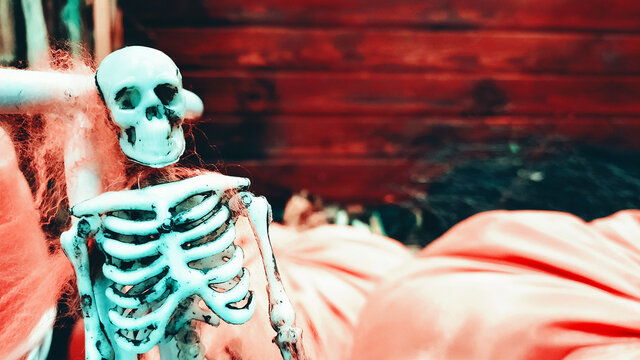 Creepy background for Halloween with toy white skeleton for decoration. ?orror concept - white toy skull on artificial cobweb. Halloween concept.