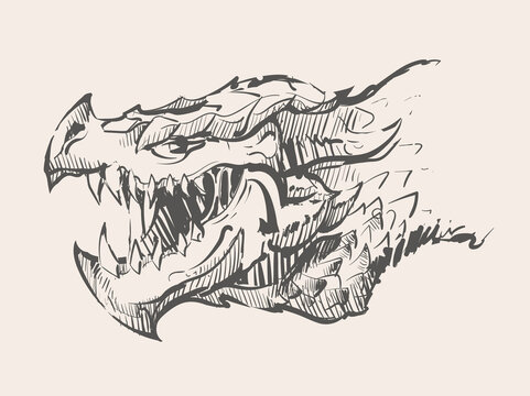 dragon head drawing tattoo | Cool dragon drawings, Dragon coloring page, Dragon  drawing