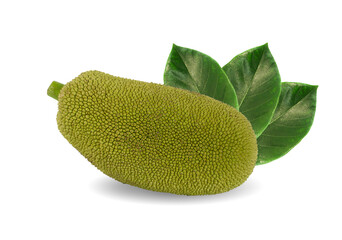 Jackfruit isolated on white background