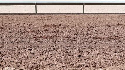 Horse feet legs racing past finish line on race day throwing up dirt with powerful hoof beats, shaking the ground as they gallop past in a group.