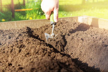 Small garden shovel in woman's hand. Close-up.