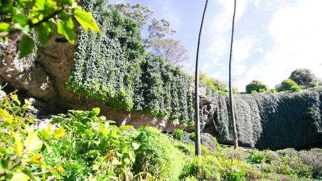 Umpherston Sinkhole in Mt Gambier, Australia