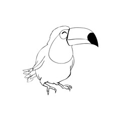 Hand-drawn pencil graphics, toucan bird. Engraving, stencil style. Black and white logo, sign, emblem, symbol. Stamp, seal. Simple illustration. Sketch.
