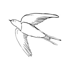 Black silhouette outline flying swallow, isolated on white.