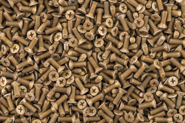 Old brass countersunk head screws with a phillips head screwdriver. Texture, background of screws. Gold color screws. Brass metal