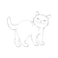 sketch of a cat isolated on a white background. Cute cat