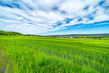 Fototapeta na wymiar green grass and blue sky in Thuringia