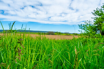 Obraz premium The Thuringian landscape is like a painting that would make even Bob Ross jealous – with more greenery than in a salad buffet