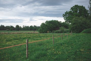 Fototapeta na wymiar electrical wire fence around a pasture