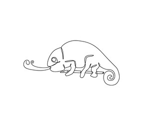cameleon continuous line art drawing style. cameleon line art vector.