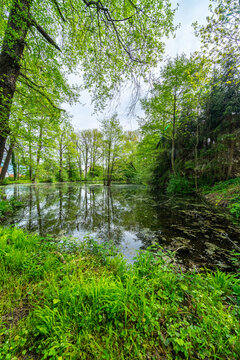 The Thuringian landscape is like a painting that would make even Bob Ross jealous &ndash; with more greenery than in a salad buffet