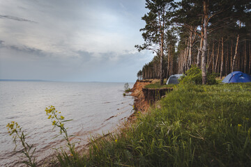 Camping in the forest 